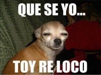 /album/memes/a1236314-10201448521427924-440608161-n-jpg/